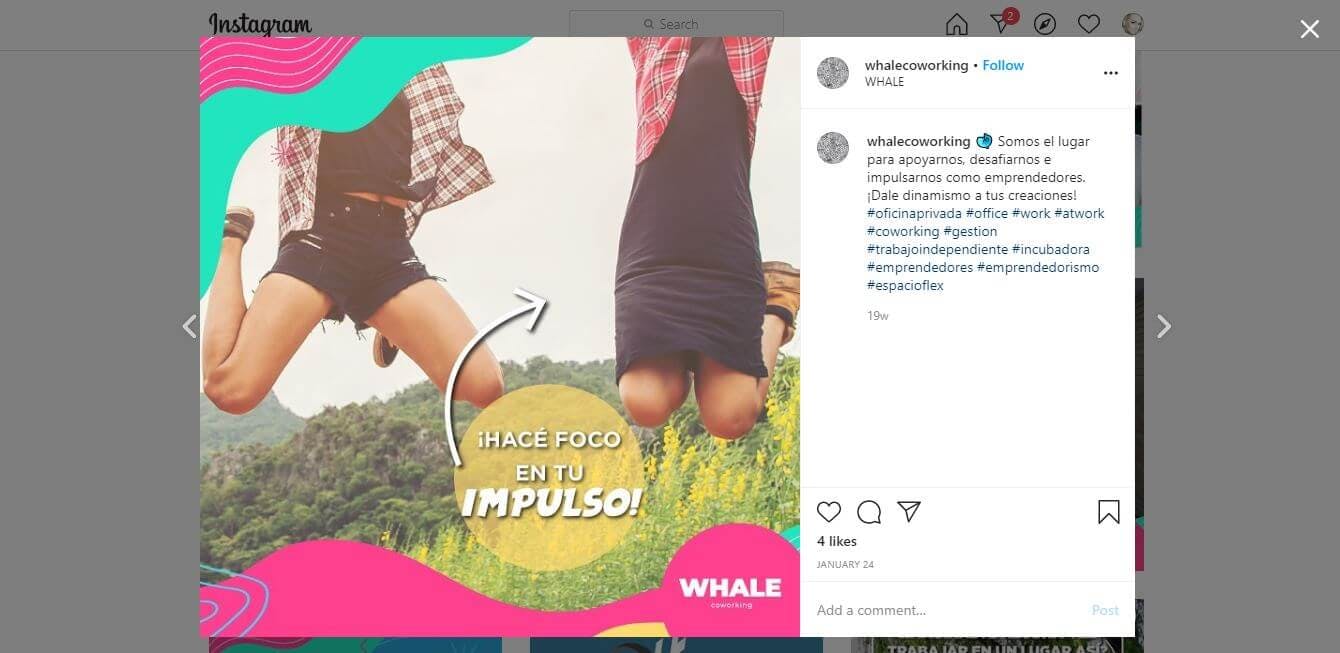 whalecoworking coworking space Instagram account