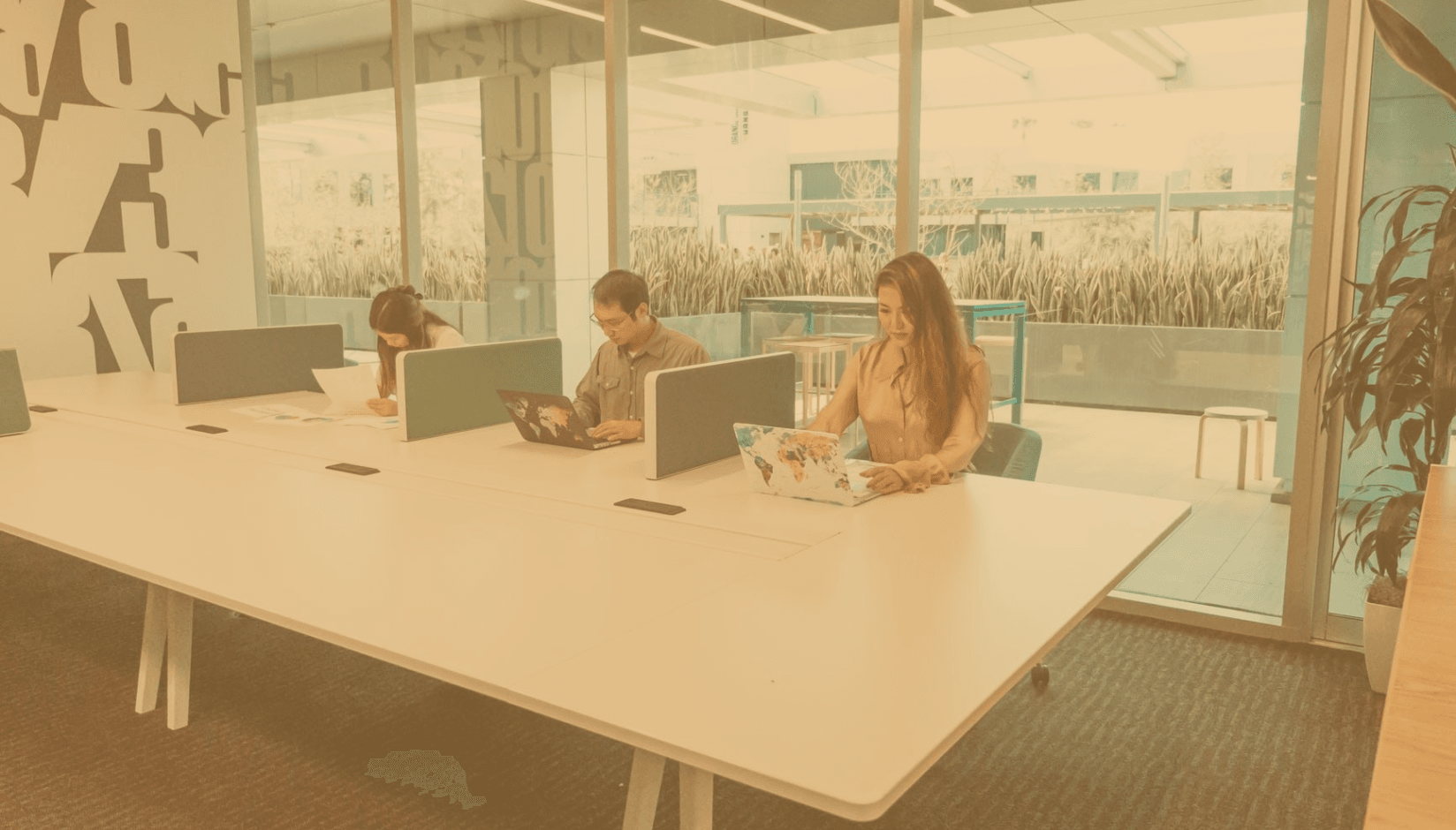 members using hot desks at a coworking space