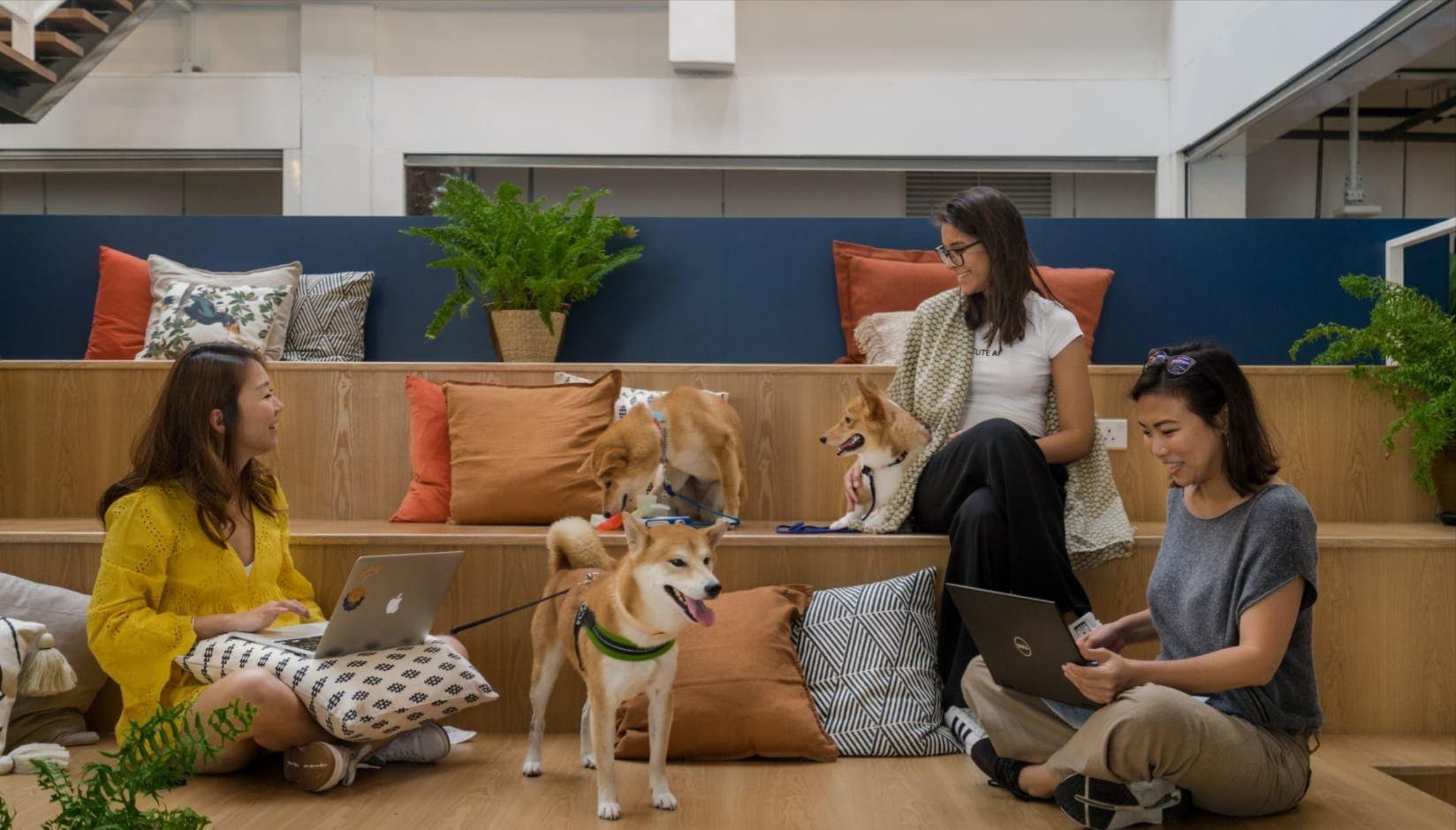 Common Ground dog-friendly coworking space
