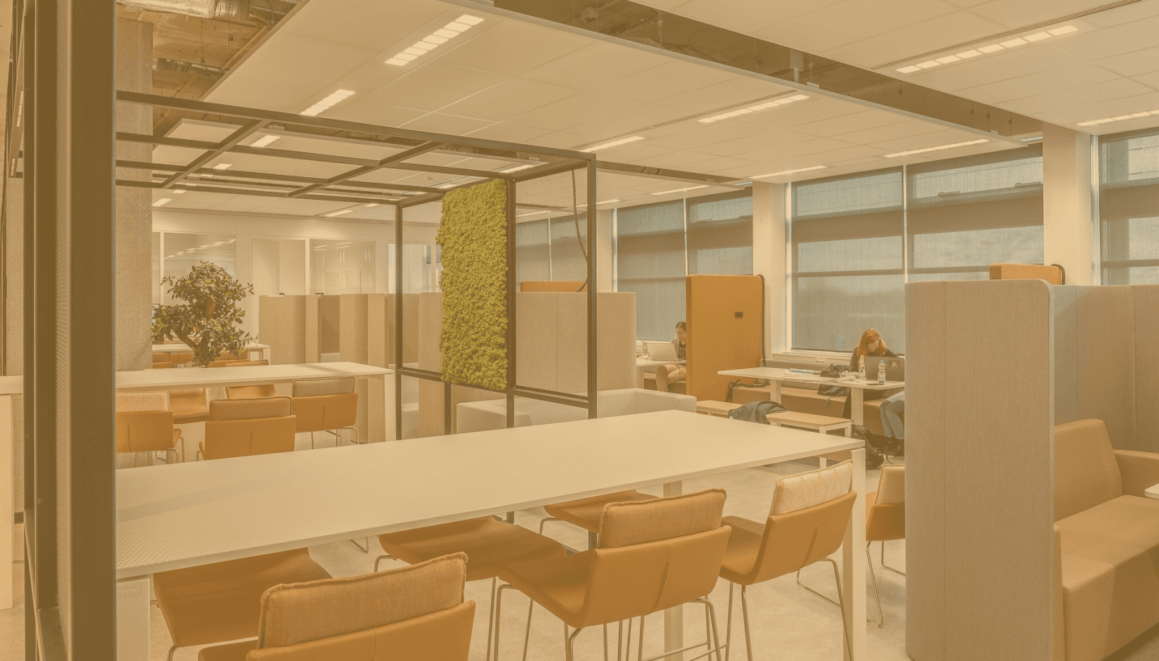 Structured workplaces at a coworking space