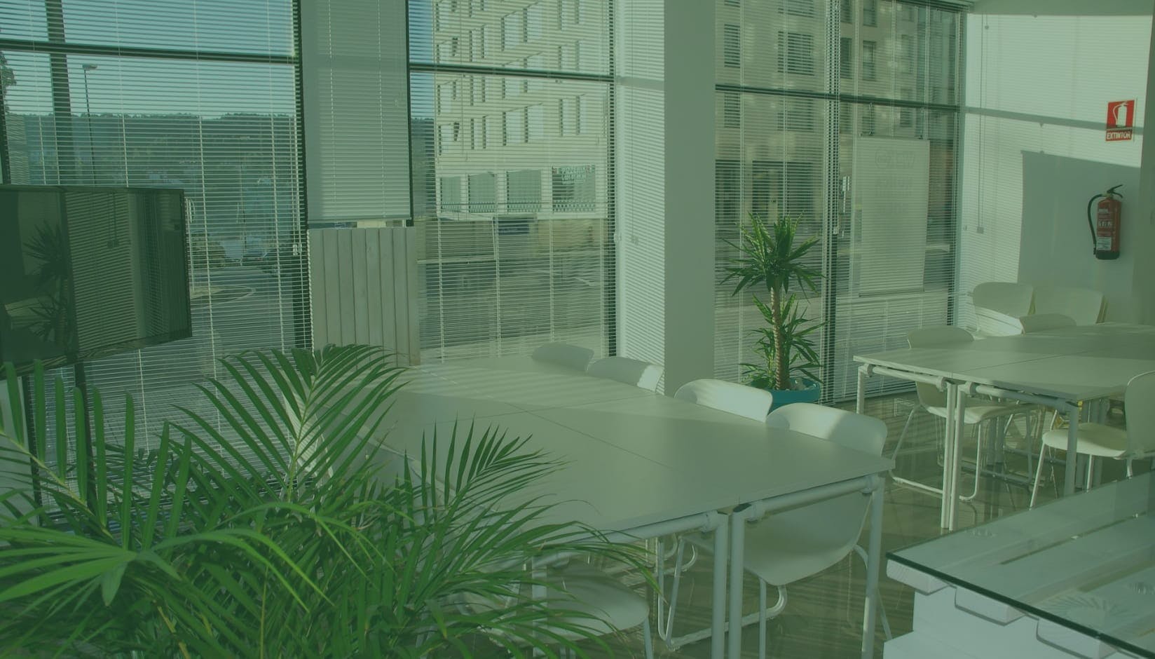 Coworking Spaces That Will Move People: 7 Reasons for Love